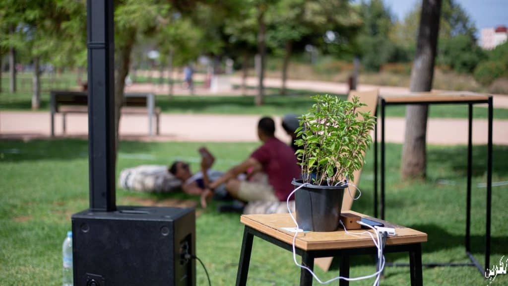 « Éveil Botanique : La Symphonie Naturelle d&rsquo;Anfa Park Casablanca »