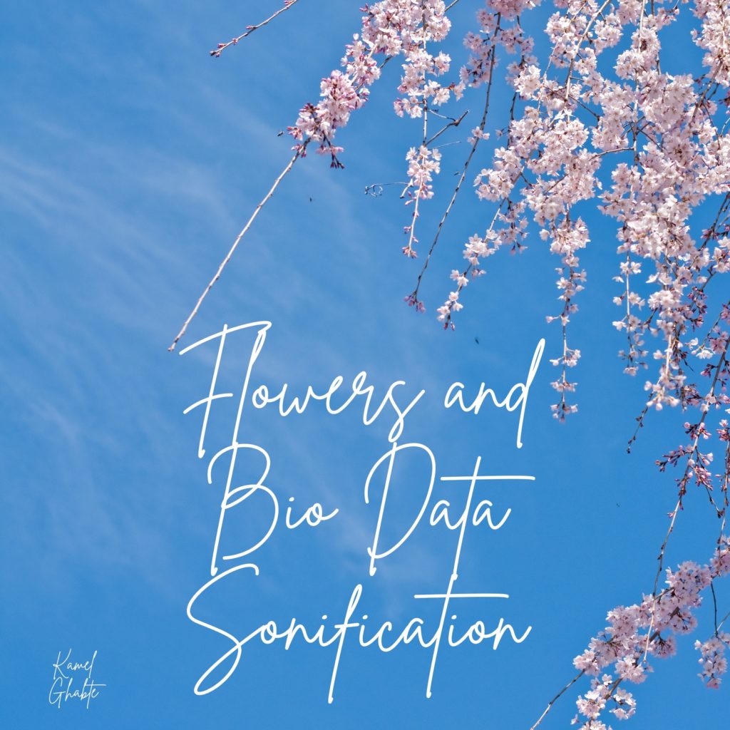 L&rsquo;émergence de la Nature comme Compositeur: »FLOWERS and Bio Data Sonification »