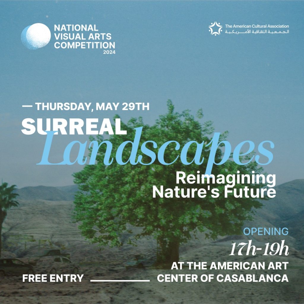 Morocco for Weather Art”: A Project at the Intersection of Digital Art and Climate Data